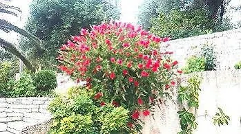 Rhea Complex דירה
